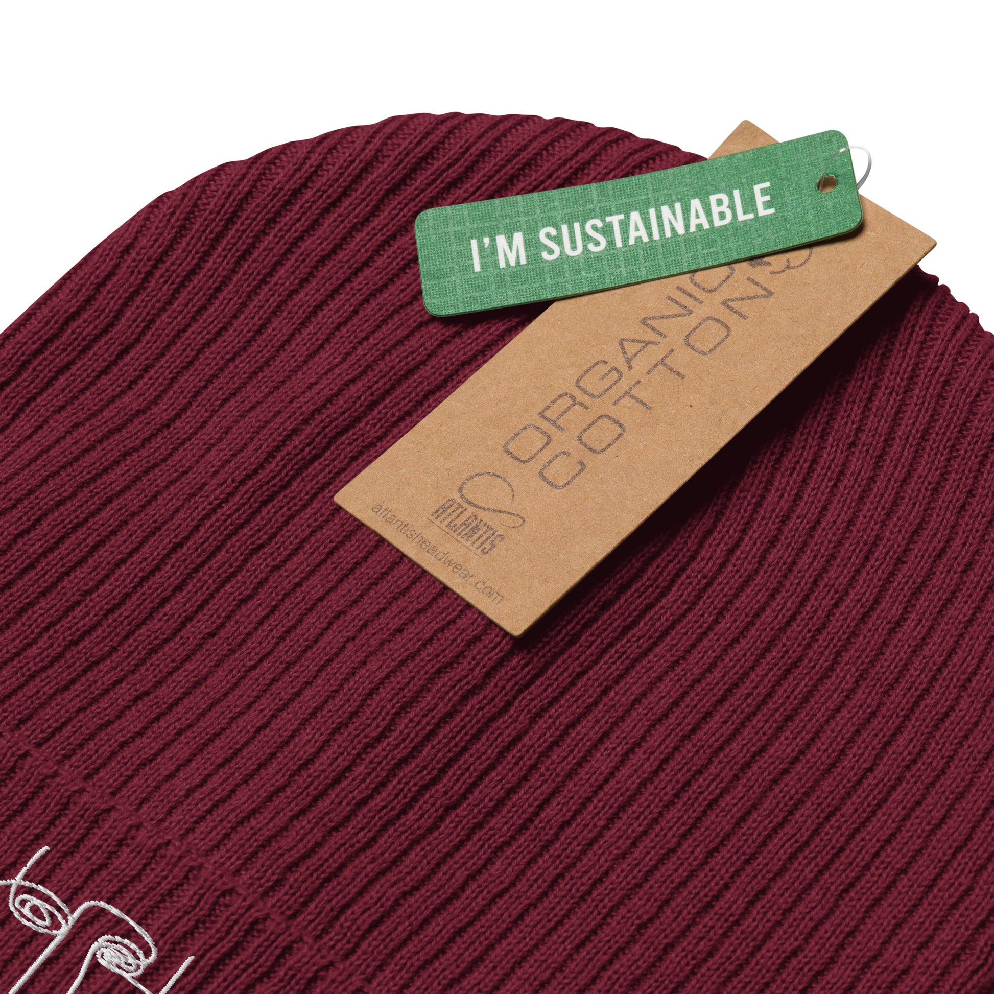 Curious Clarity Burgundy Beanie - standard